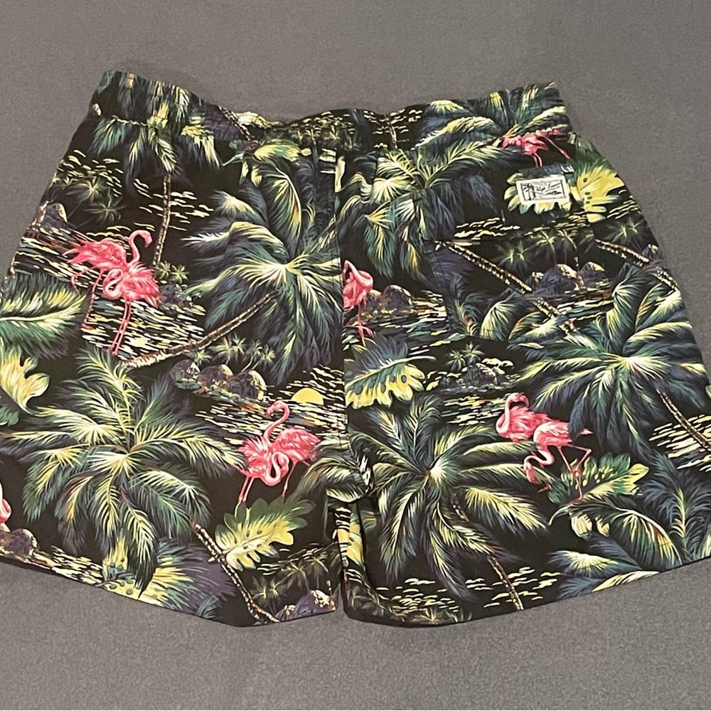 Polo Ralph Lauren swim trunks mens size large NWOT - Picture 2 of 14